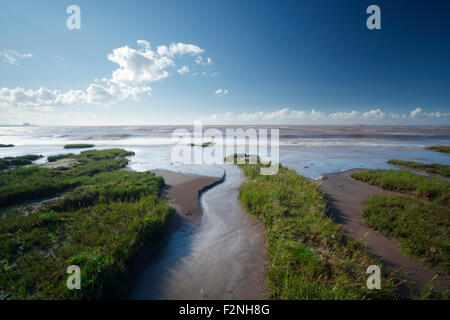 Coastal Marsh, Flut. Steart Sümpfe. Somerset. VEREINIGTES KÖNIGREICH. Stockfoto