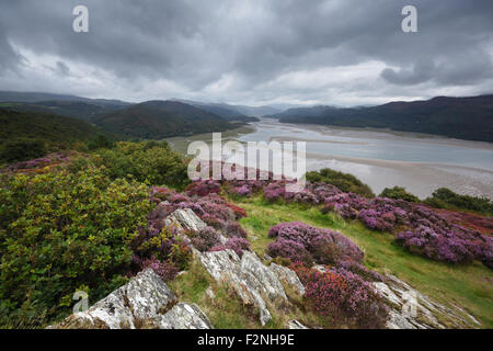 Die Mawddach Mündung von der Panorama-Wanderung. Snowdonia-Nationalpark. Gwynedd. Wales. VEREINIGTES KÖNIGREICH. Stockfoto