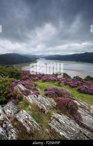 Die Mawddach Mündung von der Panorama-Wanderung. Snowdonia-Nationalpark. Gwynedd. Wales. VEREINIGTES KÖNIGREICH. Stockfoto