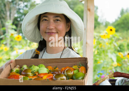 Japanische Bauern Ernten auf Bauernhof Stockfoto