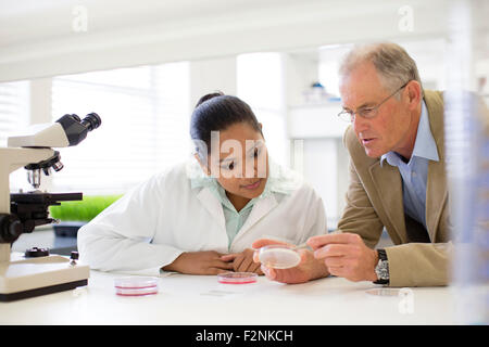 Unternehmer und Wissenschaftler untersuchen Probe im Labor Stockfoto