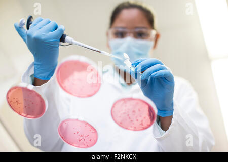 Gemischte Rassen Wissenschaftler Pipettieren Probe in Reagenzglas im Labor Stockfoto