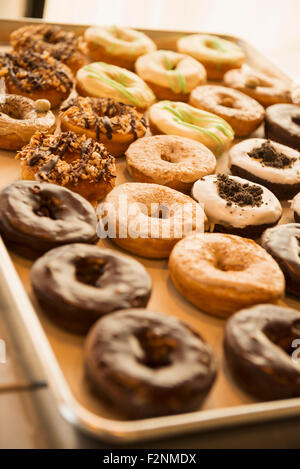 Nahaufnahme von Donuts für Verkauf in Bäckerei Stockfoto