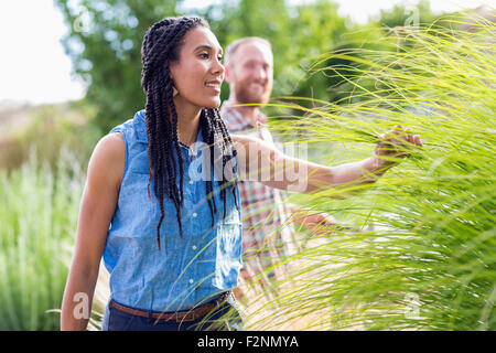 Frau, Prüfung von hohen Pflanzen im Garten Stockfoto