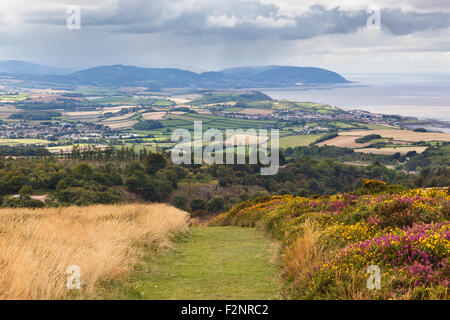 Blick vom Beacon Hill auf den Quantocks, Blick in Richtung North Hill und Dunkery Blick vom Beacon Hill auf den Quantocks, Blick in Richtung North Hill und Dunkery