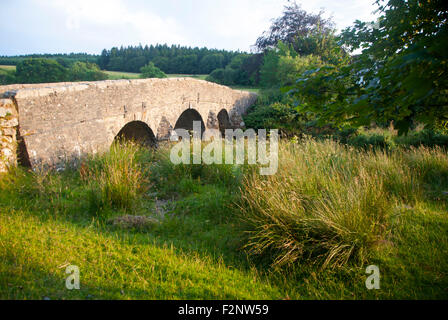 Historischen Lastesel-Brücke bei Postbridge, Dartmoor Nationalpark, Devon, England, die Überquerung des Flusses East Dart Stockfoto