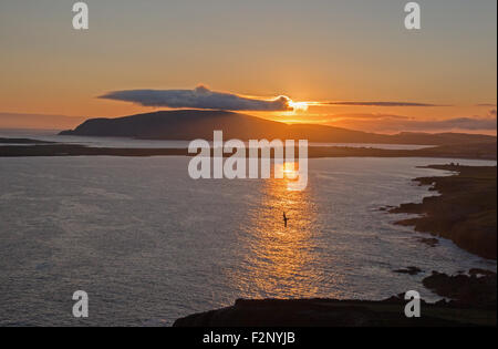 Sumburgh Head Sonnenuntergang mit Fulmar Stockfoto