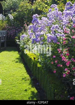 Sonnigen Ecke des Chenies Manor Garten im Hochsommer. Hölzerne Sitzbank umgeben mit hohen Stauden in Pastell blau und rosa. Stockfoto