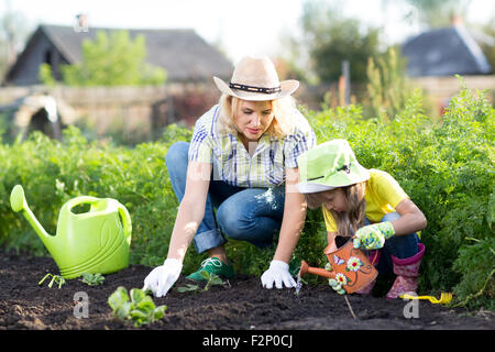 Frau und Mädchen, Mutter und Tochter, Gartenarbeit gemeinsam Pflanzung Erdbeerpflanzen im Garten Stockfoto