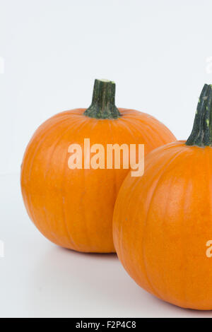 Nahaufnahme von einem Kürbis isoliert auf weiss. Stockfoto