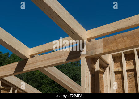 Leimholz Balken und Sparren in Leed Platin Common Ground High School Gebäude. Stockfoto