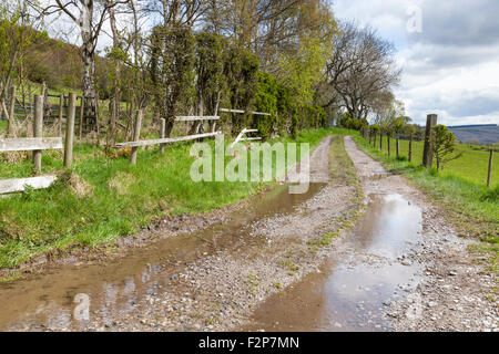 Nasses Wetter in der Landschaft. Feldweg oder Lane mit Pfützen nach Regen, Derbyshire, England, Großbritannien Stockfoto