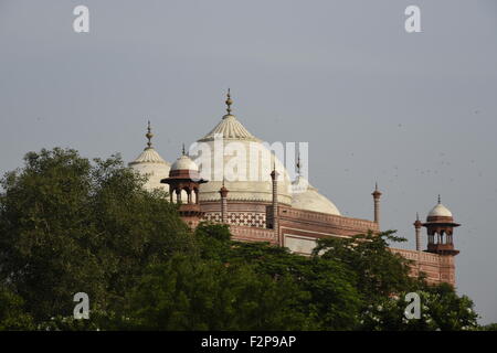 Safdarjung Grab Ansicht weißen Marmor Grab und rot marmoriert hinter Baum mit fliegenden Vögel hinter Safdarjung Grab, Delhi, Indien Stockfoto