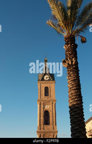 Jaffa Clock Tower und eine Palme, Yafo, Tel Aviv, Israel Stockfoto