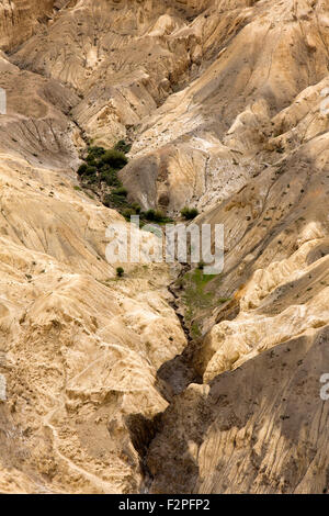 Indien, Jammu & Kaschmir, Lamayaru, Tal des Mondes, Stream erodieren Wasser geformt Schlamm Landschaft Stockfoto