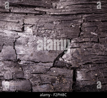 Holzkohle Nahaufnahme als Hintergrund Stockfoto