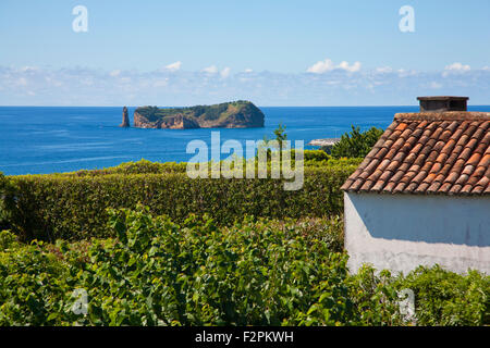 Die kleine Insel von Vila Franca Do Campo, vor der Küste von Sao Miguel Insel, Azoren, Portugal. Stockfoto