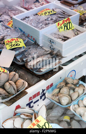 Auswahl an frischen Meeresfrüchten und Fisch auf einem japanischen Marktstand in Tsukiji-Markt Stockfoto