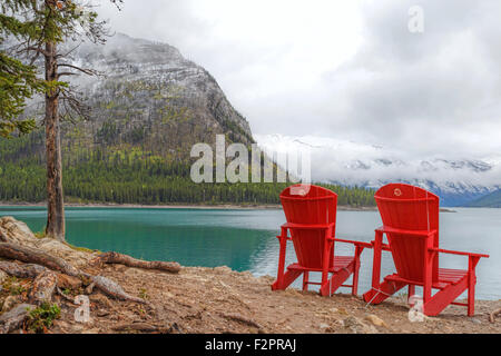 Roten Bären liegen am Lake Minnewanka, ein Gletschersee im Banff-Nationalpark, Rocky Mountains, Alberta, Kanada, Nordamerika Stockfoto