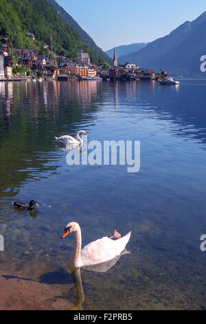 Sonnigen Sommertag in Hallstatt Dorf in den österreichischen Alpen. Maria bin Berg Kirche und Traun See, Österreich, Europa. Stockfoto