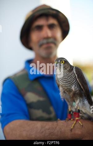 Falkner bereitet seinen Vogel an der jährlichen Festival de L'epervier oder Falknerei Festival in El Haouaria in Tunesien Stockfoto