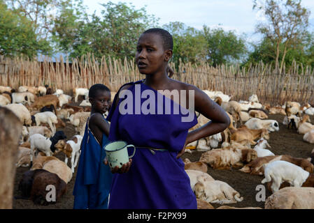 Tansania, Korogwe, Massai in Kwalukonge Dorf, Ziegen in eingezäunten Kral / TANSANIA, Korogwe, Massai Im Dorf Kwalukonge, Besiedler Im Gatter Stockfoto