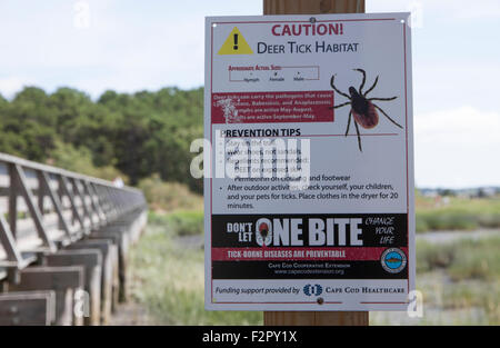 Vorsicht Schild Warnung vor Rotwildhäckchen auf Cape Cod, Massachusetts. Stockfoto