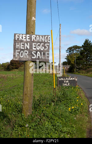 Am Straßenrand Zeichen für den Verkauf von landwirtschaftlichen Produkten in das Dorf Burscough, Lancashire, UK Stockfoto