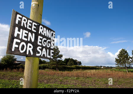 Am Straßenrand Zeichen für den Verkauf von landwirtschaftlichen Produkten in das Dorf Burscough, Lancashire, UK Stockfoto