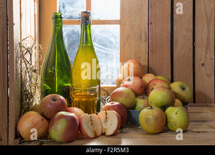Flaschen und Glas Apfelwein mit Äpfeln Stockfoto