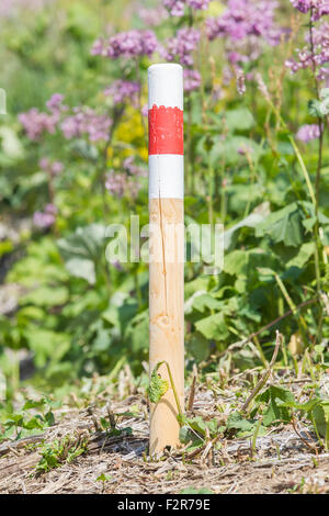 Zu Fuß Weg einfach Stufensymbol auf pole Stockfoto