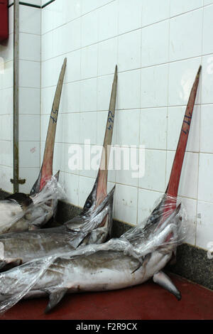 Fischmarkt: Schwertfisch Stockfoto
