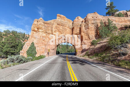 Natürlichen Bogen Straßentunnel auf der Scenic Byway 12, Utah, USA. Stockfoto