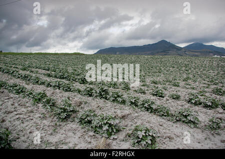 Cotopaxi Vulkanausbruch, Ecuador Stockfoto