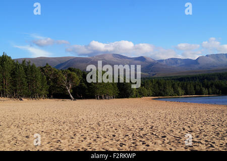 Loch Morlich Strand in Aviemore, Schottland Highlands mit Blick auf die Cairngorm Berge. Blauer Himmel, Strand mit Bäumen Stockfoto