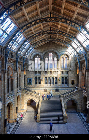 Das Natural History Museum ist eines der drei großen Museen auf Ausstellung Road, South Kensington, London, England Stockfoto