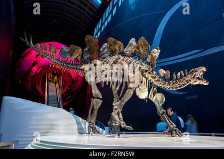 Das Natural History Museum ist eines der drei großen Museen auf Ausstellung Road, South Kensington, London, England Stockfoto