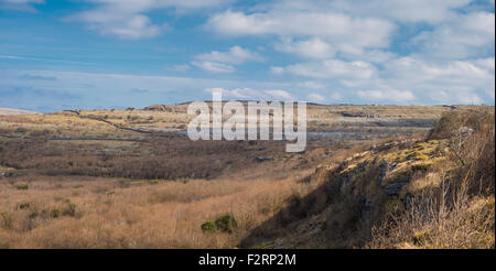 Der Carran Depression, einer großen karstige Depression oder Doline, sagte zu den größten in Europa, in die Burren, Co Clare, Irland Stockfoto