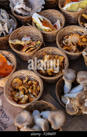 Lokal angebauten Pilzen auf dem Display auf dem Bauernmarkt an der Main Street in der Innenstadt von Greenville, South Carolina. Stockfoto