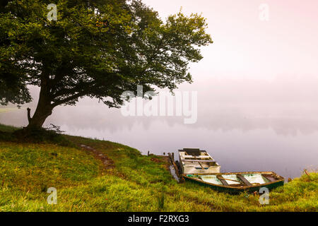 Sonnenaufgang am Craufurdland See in der Nähe von Kilmarnock, Schottland Stockfoto