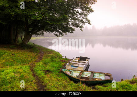 Herbst Nebel steigen über Craufurdland Loch, in der Nähe von Kilmarnock, Ayrshire, Schottland, UK Stockfoto