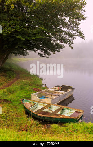 Herbst Nebel steigen über Craufurdland Loch, in der Nähe von Kilmarnock, Ayrshire, Schottland, UK Stockfoto