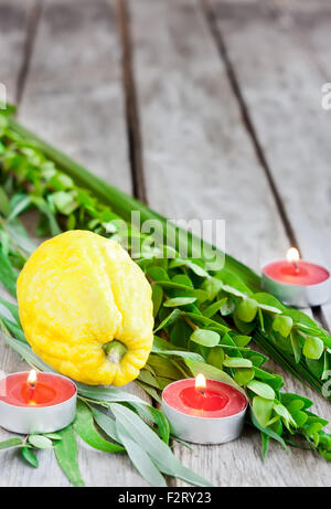 Symbole der jüdischen fallen Festival von Sukkot, Lulaw - Etrog, Palmzweig, Myrte und Weide - auf alten hölzernen Hintergrund. Stockfoto