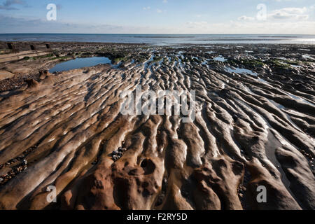 Felsvorsprung ausgesetzt durch Ebbe am Bulverhythe, St Leonards auf Meer, East Sussex, England, UK Stockfoto