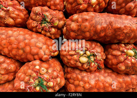 Rote Zwiebel-Säcke Stockfoto