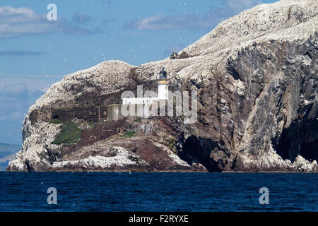 Bass Rock, Firth of Forth, Schottland, Vereinigtes Königreich Stockfoto