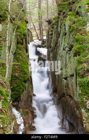 Kleine Schlucht Cascade Bach in der Flume Gorge Scenic Area in Lincoln, New Hampshire USA während der Frühlingsmonate. Stockfoto