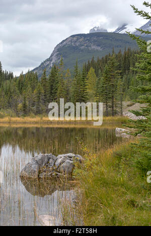 Ruhige Stimmung und malerischen Reflexionen in der Nähe von Rampart Creek, Banff Nationalpark, Rocky Mountains, Alberta, Kanada, Nordamerika. Stockfoto