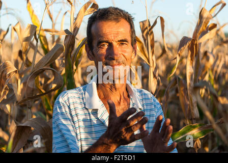 Outdoor Portrait des rumänischen Bauern glücklich und lächelnd in die Mais-Feld-Nahaufnahme bei Sonnenuntergang. Stockfoto