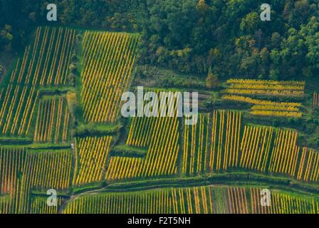 Frankreich, Haut Rhin (68), Weinstraße, Wintzenheim, Weinberge auf Hügel im Herbst (Luftaufnahme) Stockfoto